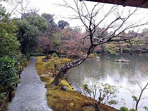 KYOTO - Temple Kinkaku-Ji et Jardins - 18.01.2024 - 07